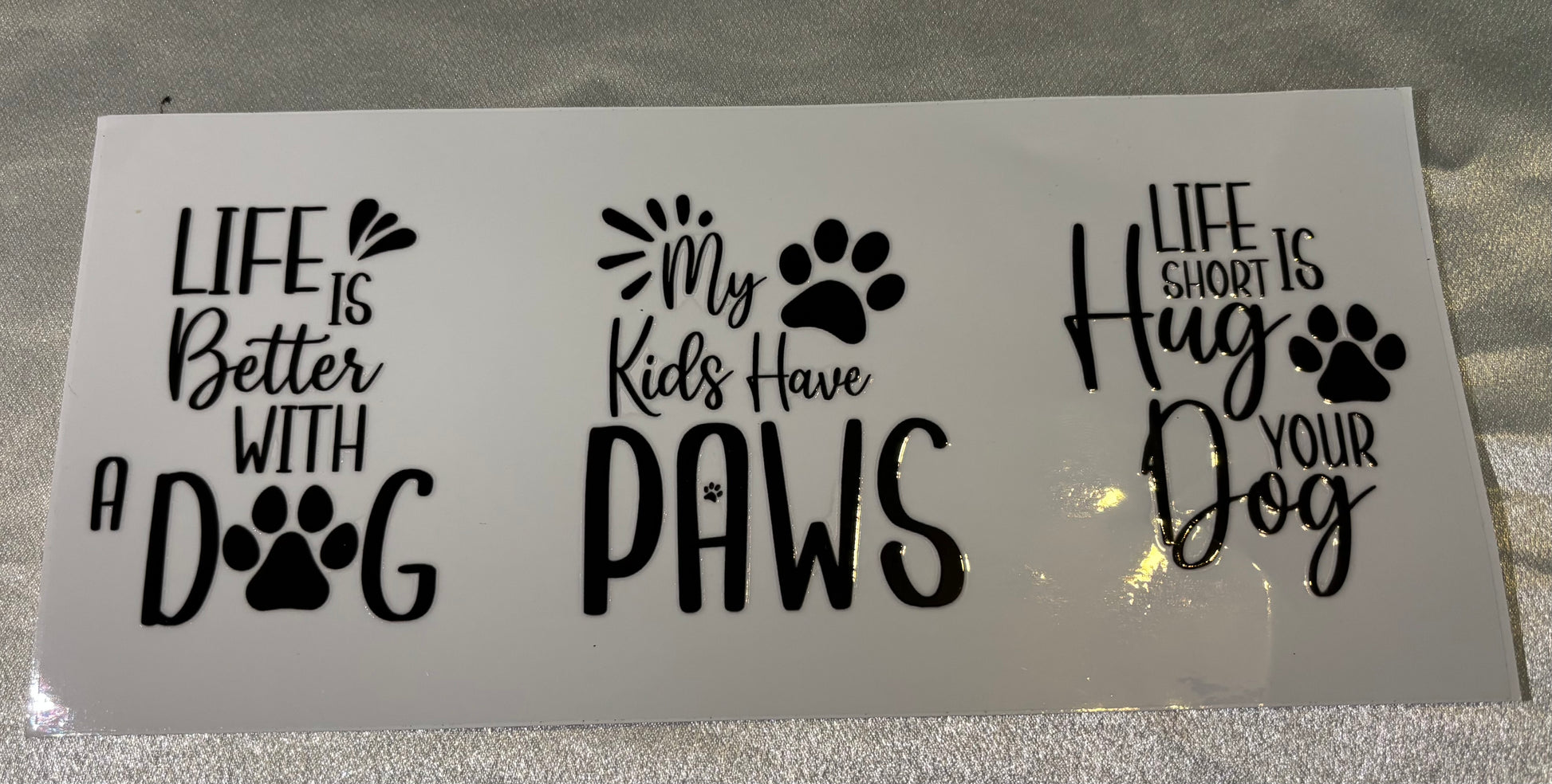 Kids have Paws