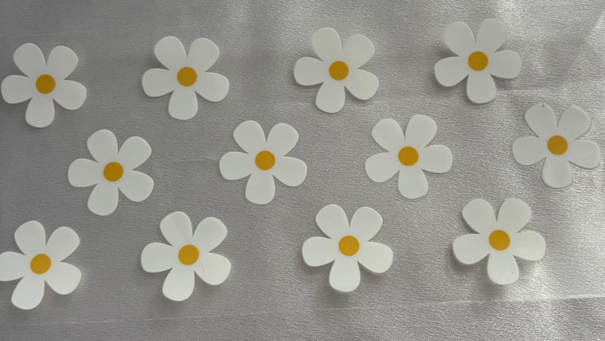 Gänseblümchen dick