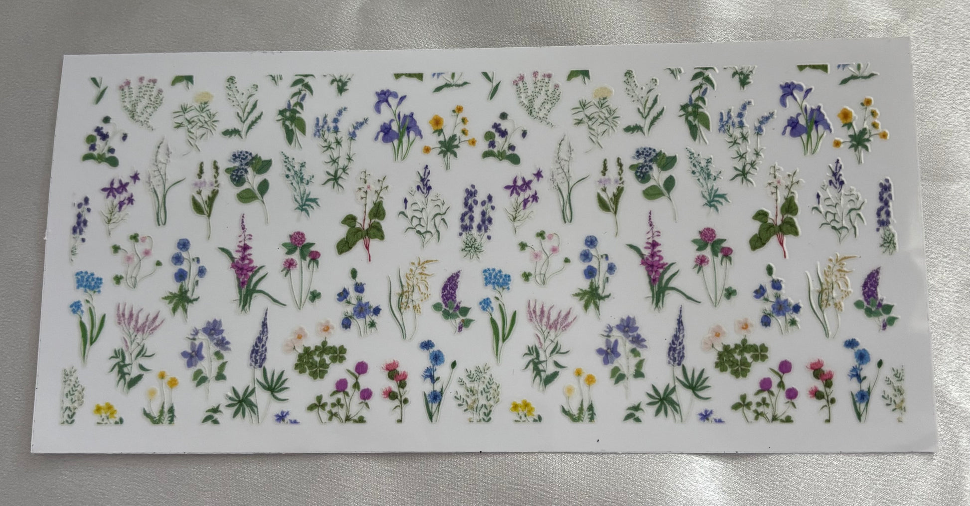 Blau Lila Blumenwiese