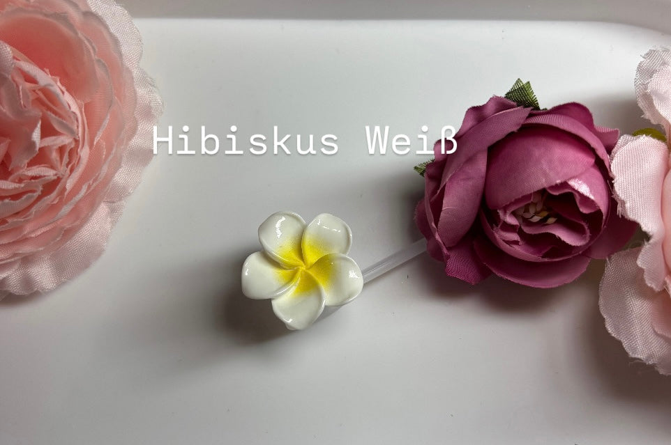 Strohhalm Abdeckung- NUPSI